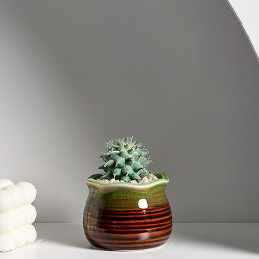 Ceramic Succulent Flower Pot